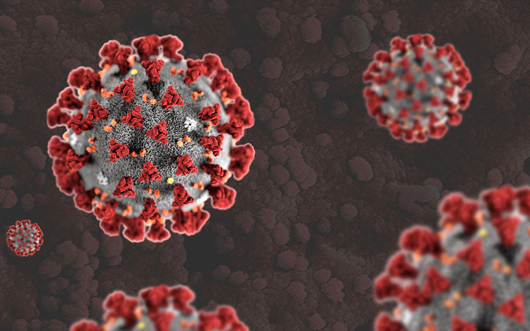 COVID-19 Guidance on Quarantine & Isolation