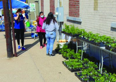 Edible Flint & LatinX Center Share Plants & Seeds With Flint Community Families