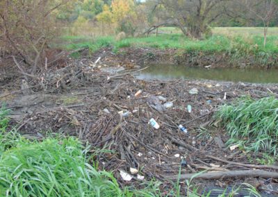 Gilkey Creek & Kearsley Park Get Cleaned