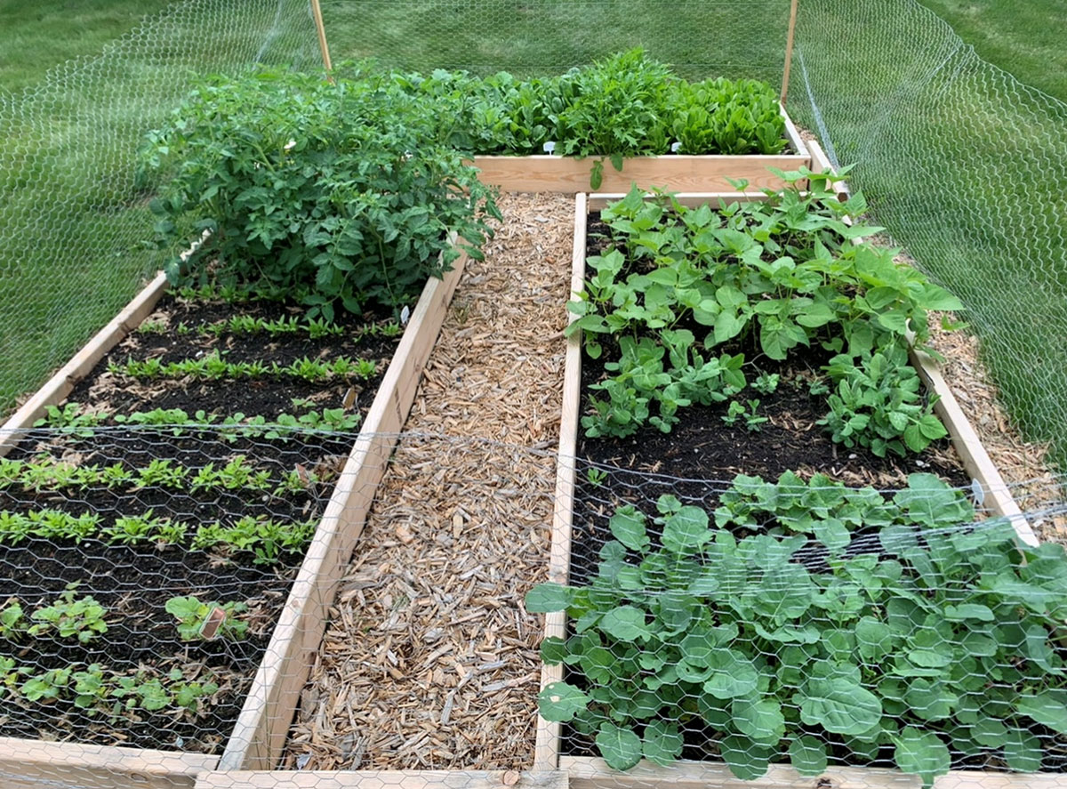 A Kitchen Garden