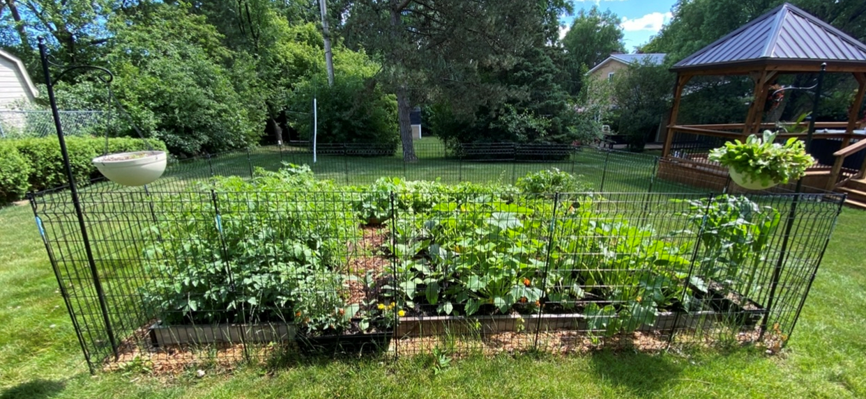 A Kitchen Garden