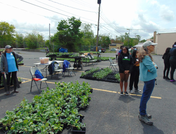 Vegetables, Seeds, Herbs, Peppers - All Available May 20!